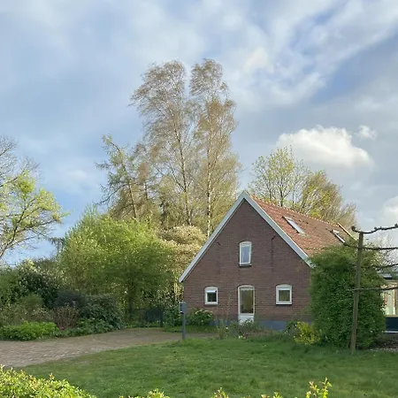 Vakantiehuis De Fiere - Wijngaard