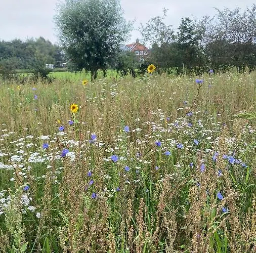 Vakantiehuis De Fiere - Wijngaard Zutphen *